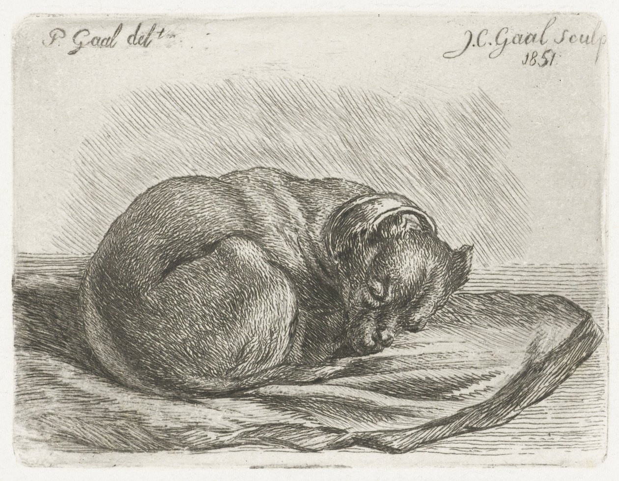 Sleeping Dog Lying on a Blanket by Jacobus Cornelis Gaal