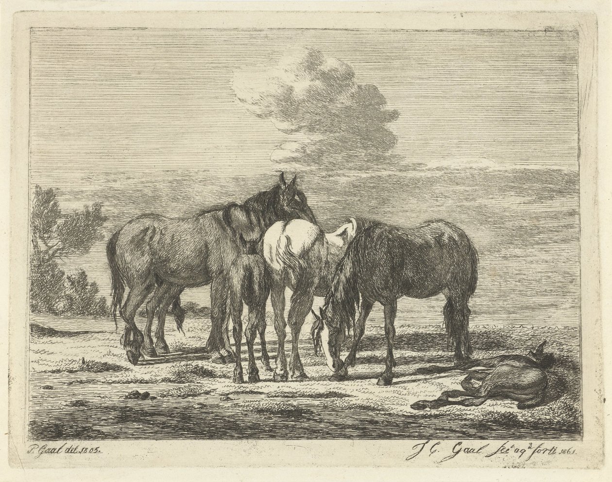 Four Horses and Two Foals by Jacobus Cornelis Gaal