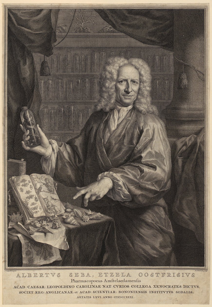 Portrait of Albert Seba, Pharmacist and Famous Naturalist Collector by Jacobus Houbraken