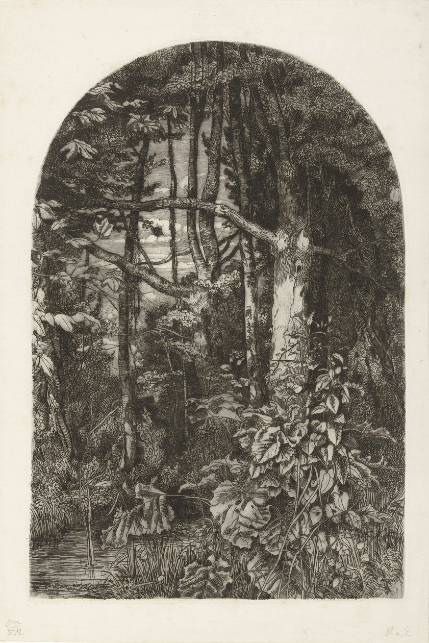 Forest with Stream by Jacobus Ludovicus Cornet