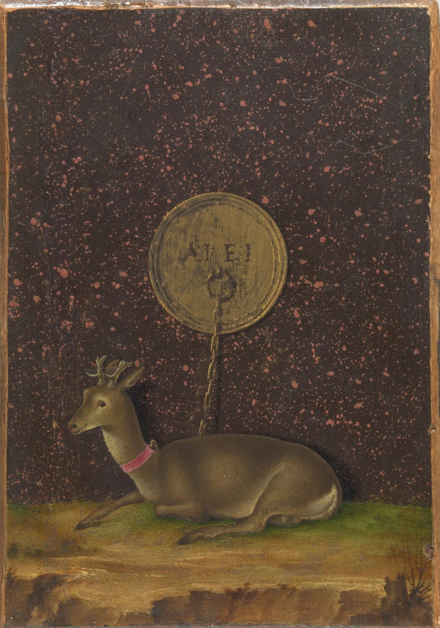 Portrait of Alvise Contarini; (verso) A Tethered Roebuck by Jacometto Veneziano