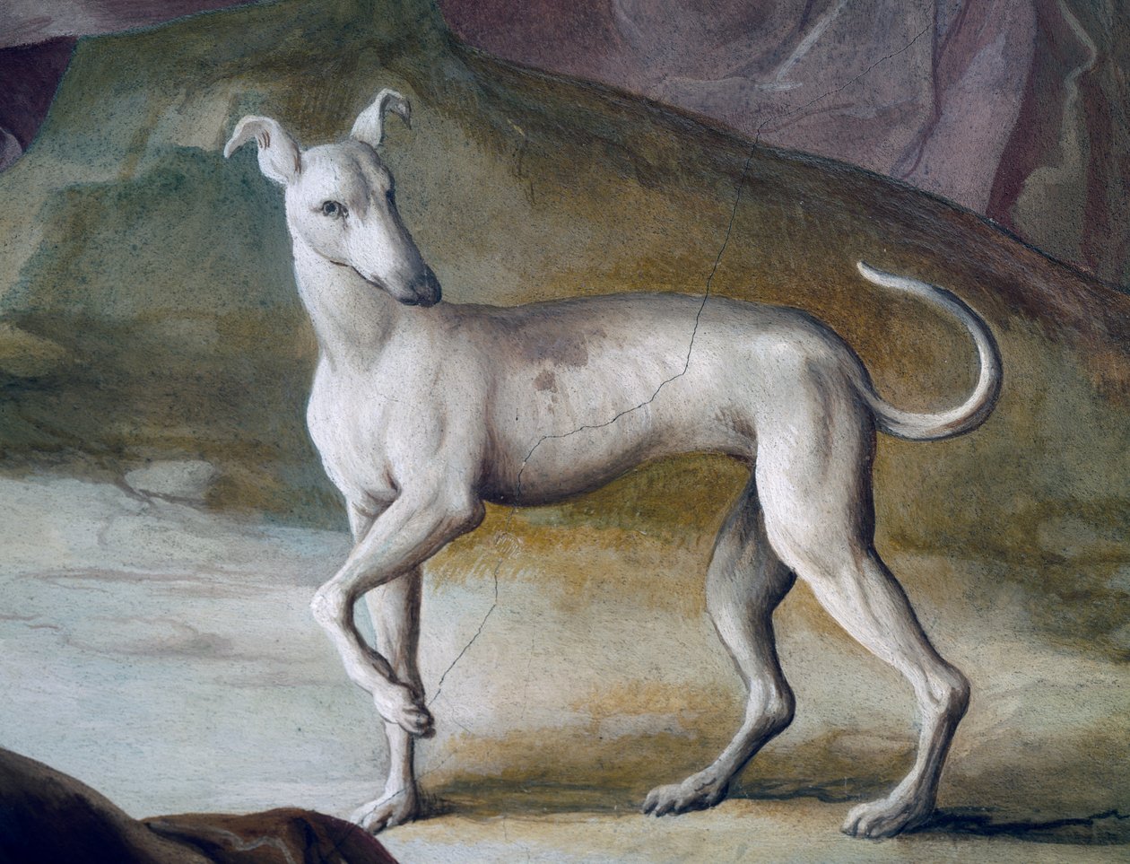 Dog (detail) by Jacopo Guarana