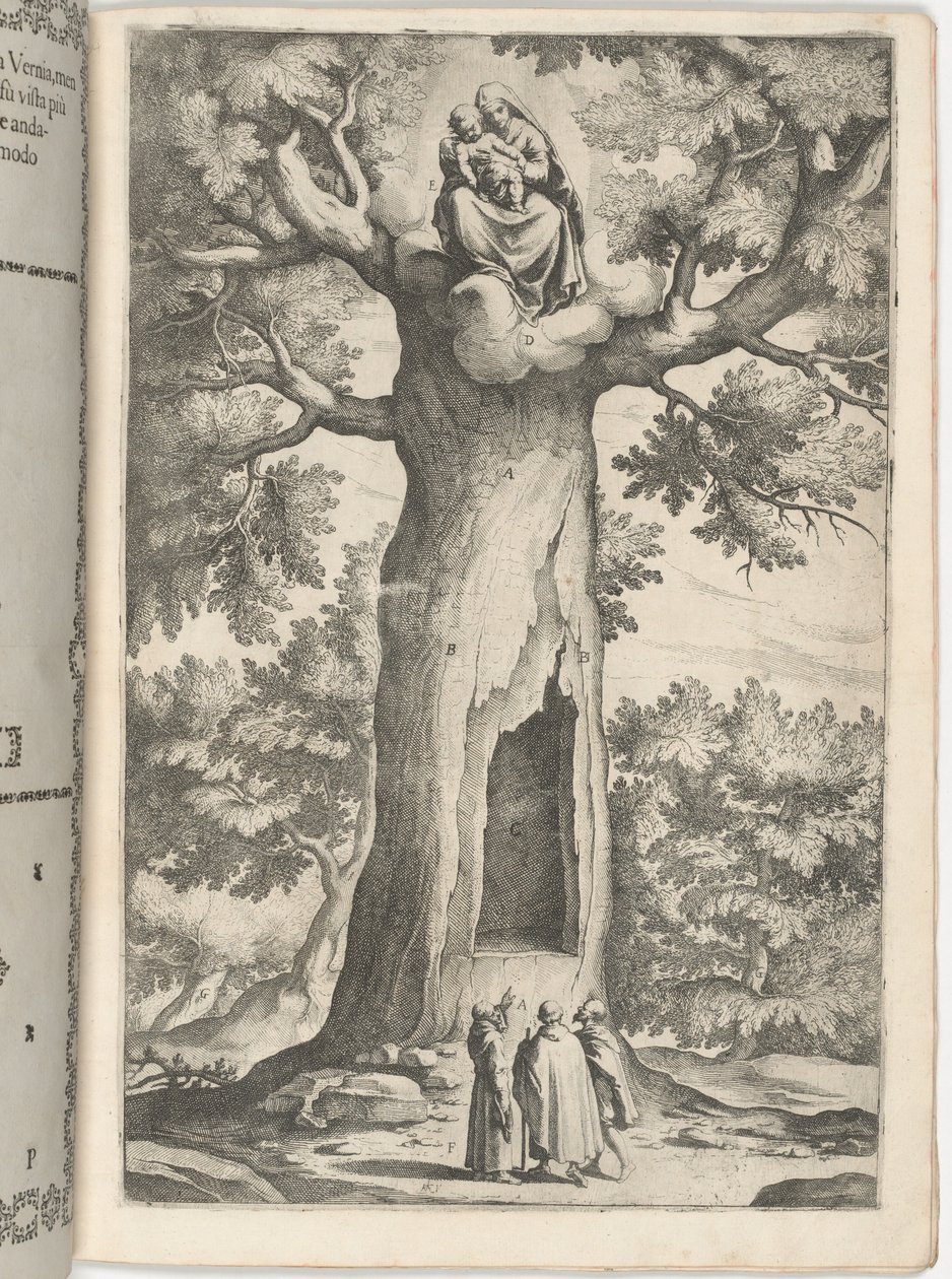 Apparition of the Virgin in the Beech Tree [plate P] by Jacopo Ligozzi