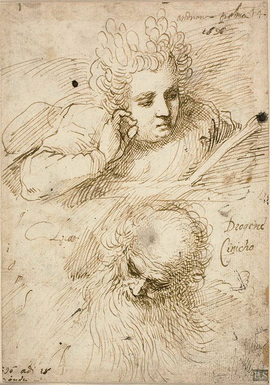 Andriana Palma and Diogenes the Cynic by Jacopo Palma il Giovane