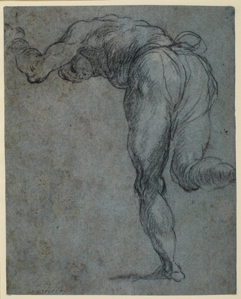 Study of a Male Figure Bending Forward by Jacopo Robusti Tintoretto