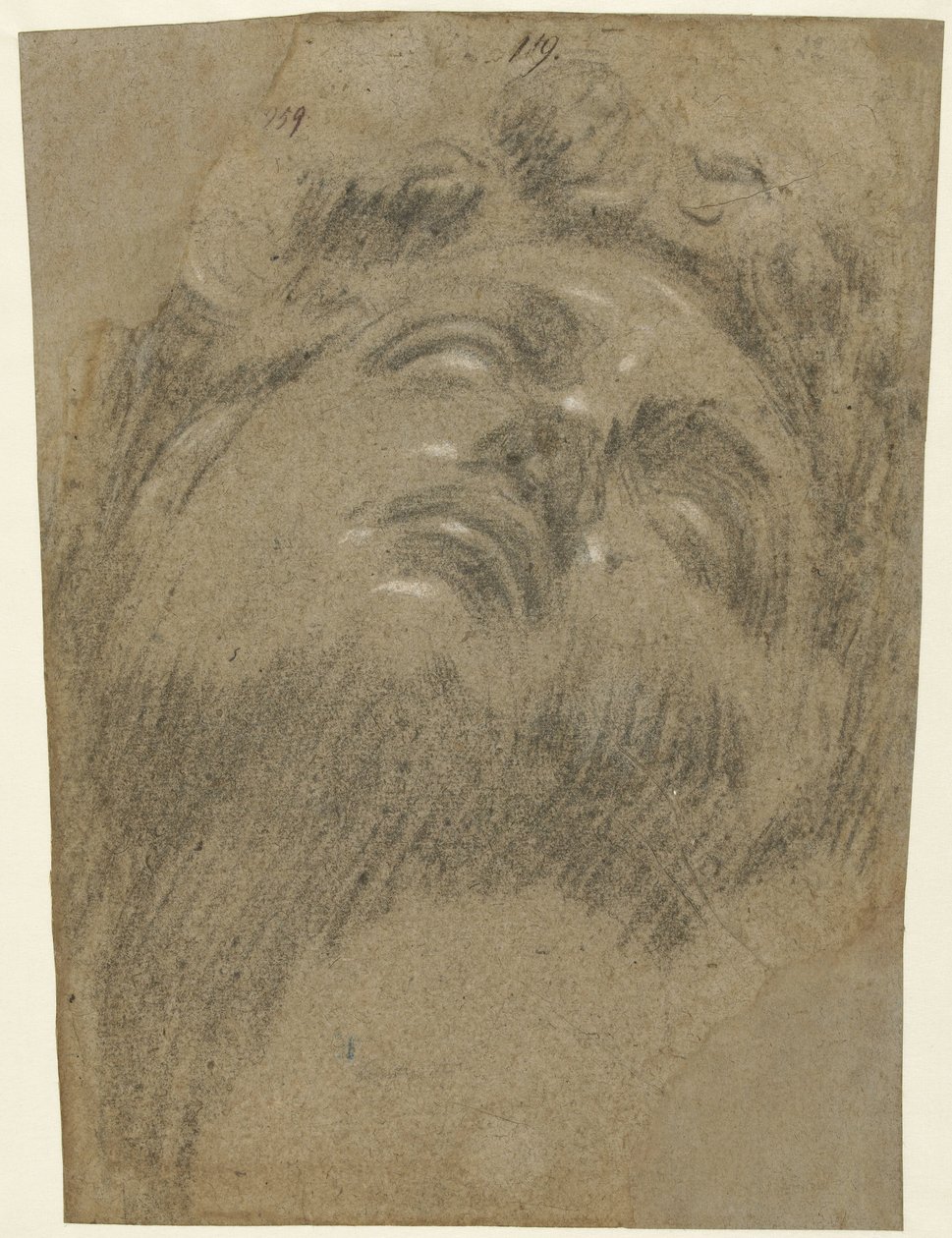 Head of Giuliano dei Medici by Jacopo Tintoretto
