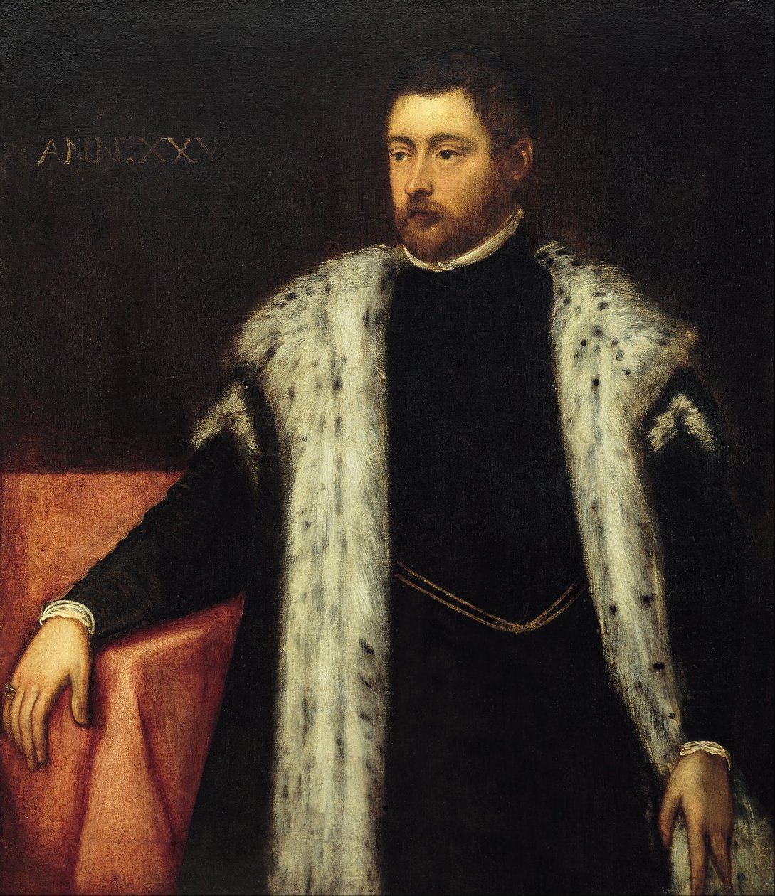 Twenty-five Year Old Youth with Fur-lined Coat by Jacopo Tintoretto
