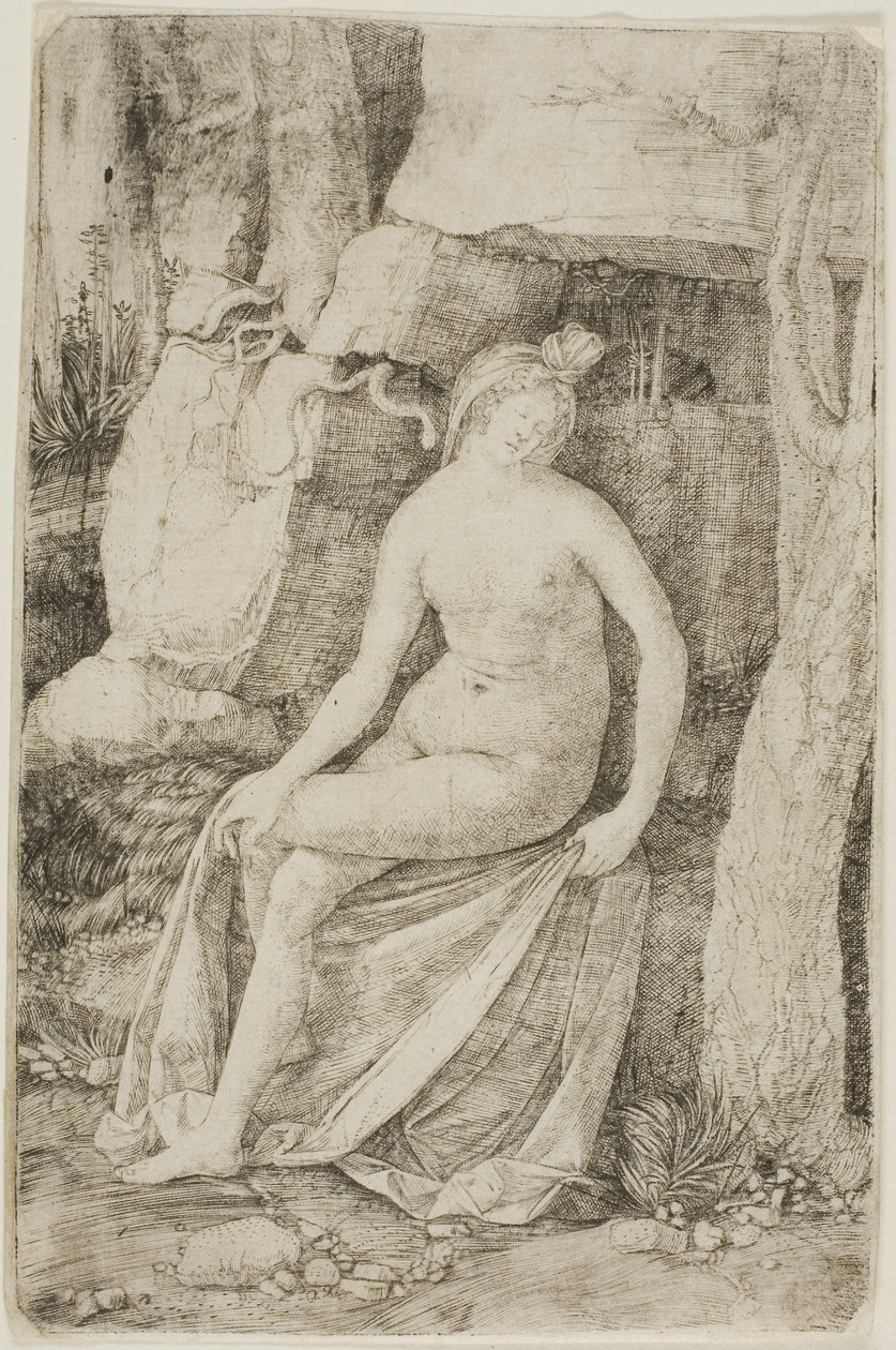 Cleopatra by Jacopo de