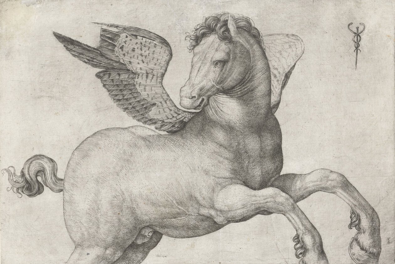 Pegasus, 1509-16 by Jacopo de Barbari