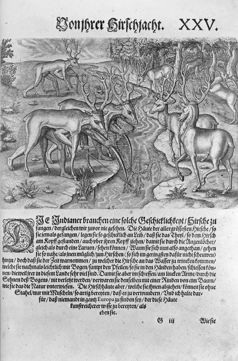 Florida Indians Hunting Deer While Disguised Under Deerskins, from 