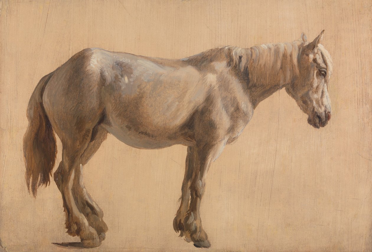 Study of a Grey Horse by Jacques-Laurent Agasse