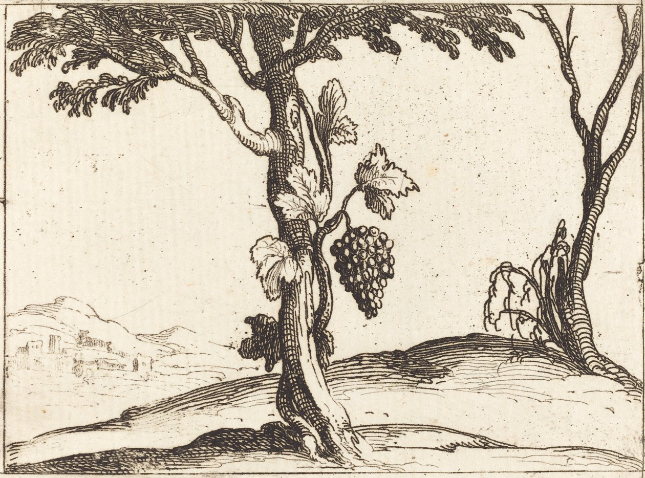 Bunch of Grapes by Jacques Callot