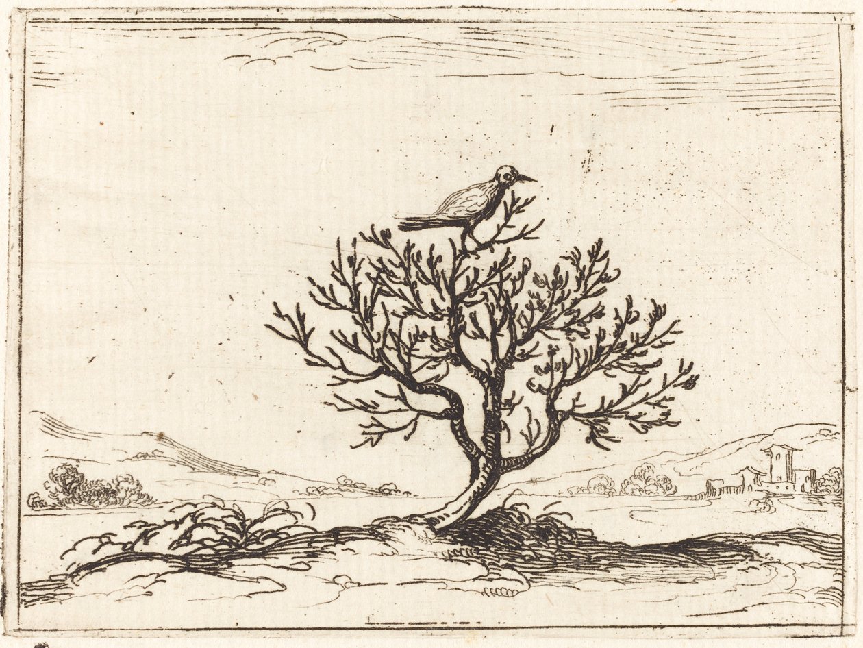 Nightingale in a Bush by Jacques Callot