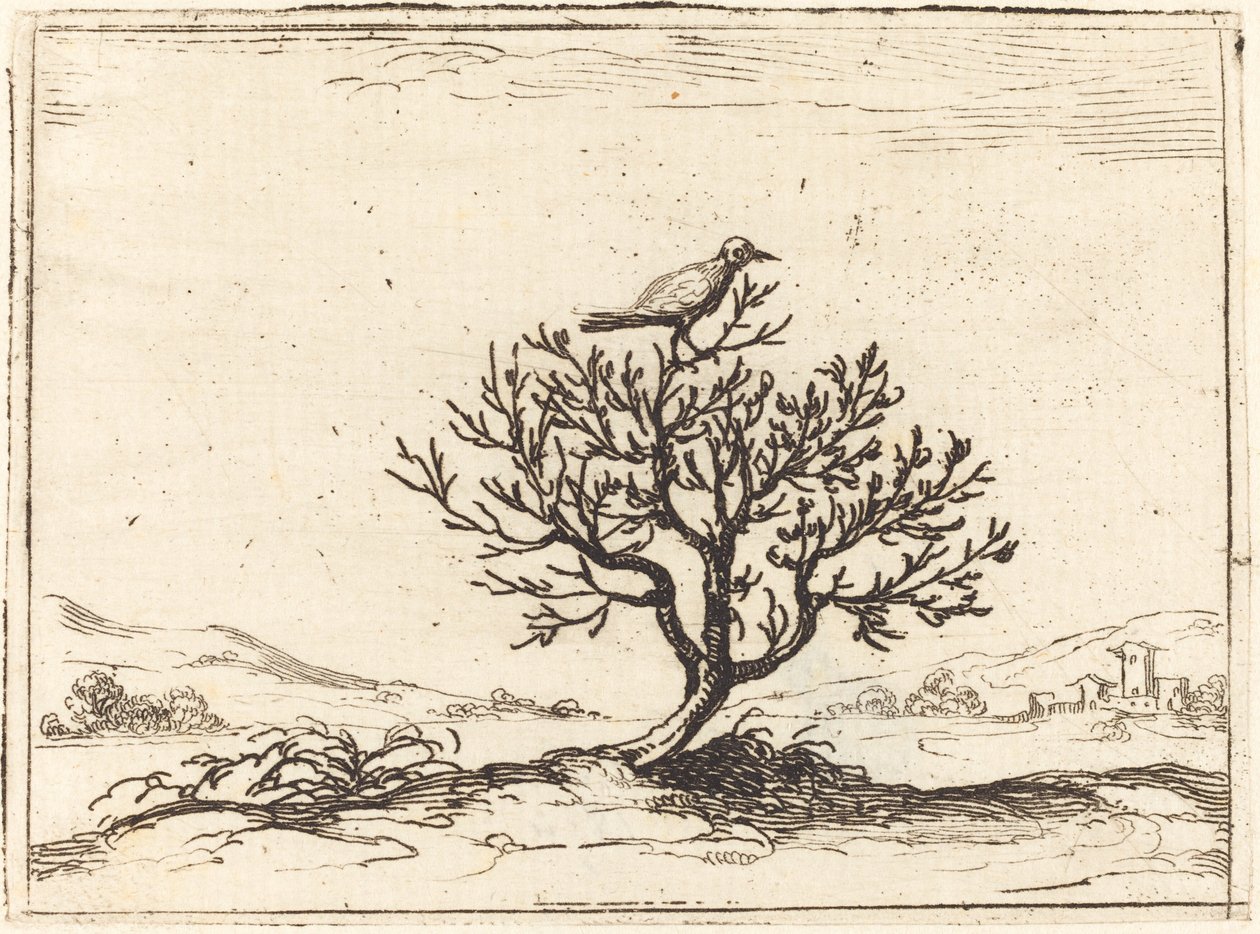 Nightingale in a Bush by Jacques Callot