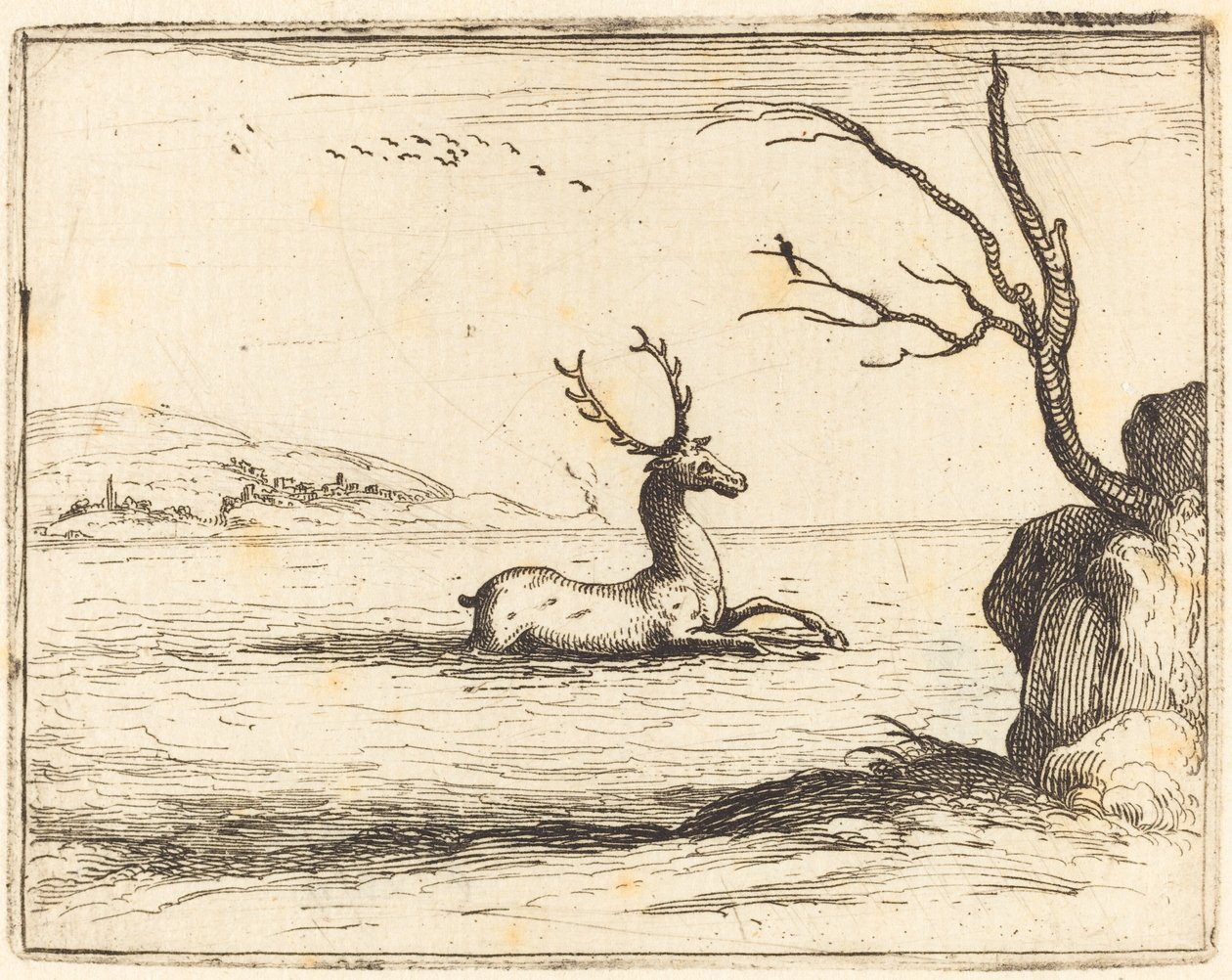 Stag in the Water by Jacques Callot