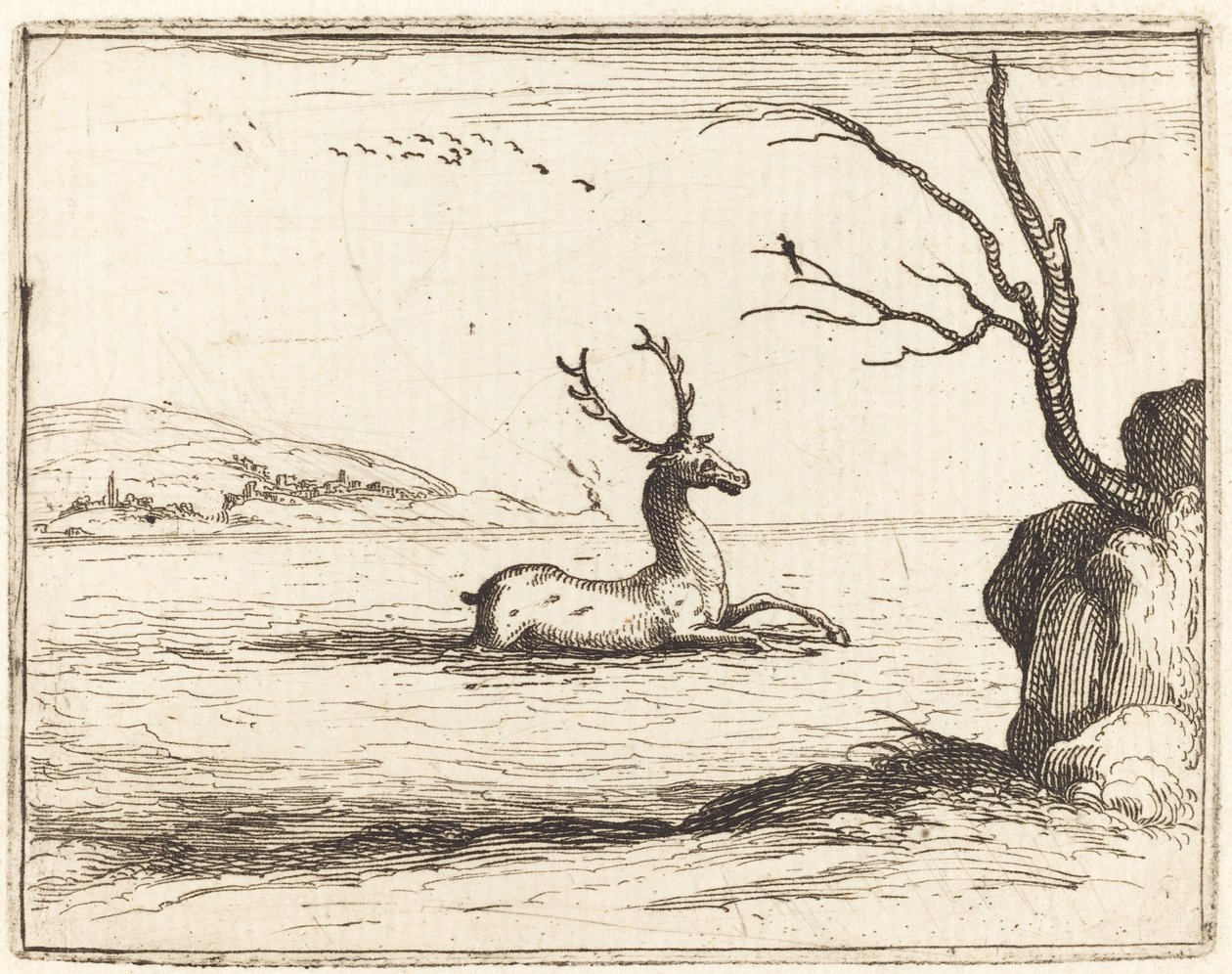 Stag in the Water by Jacques Callot