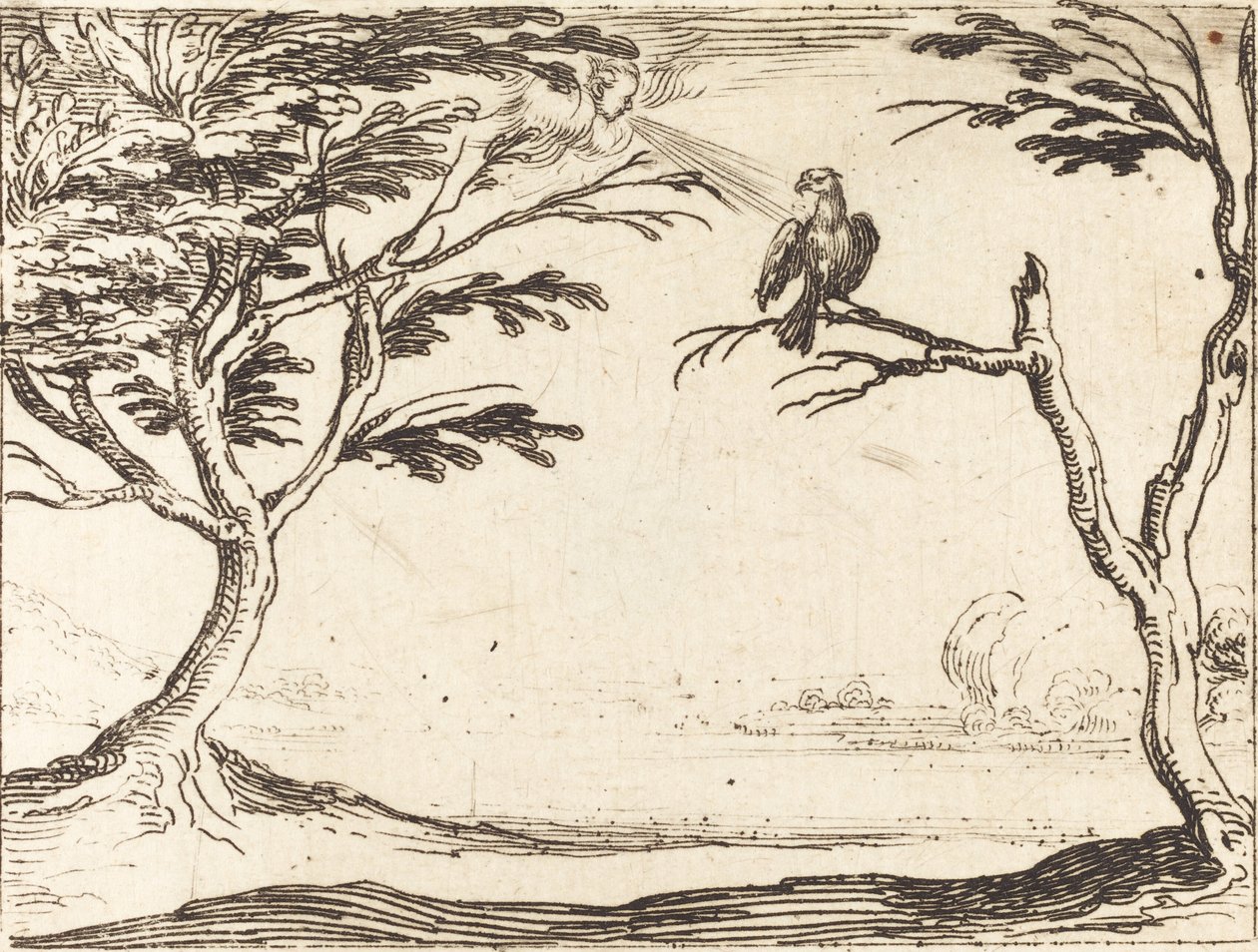 The Vulture by Jacques Callot: Premium art reproduction