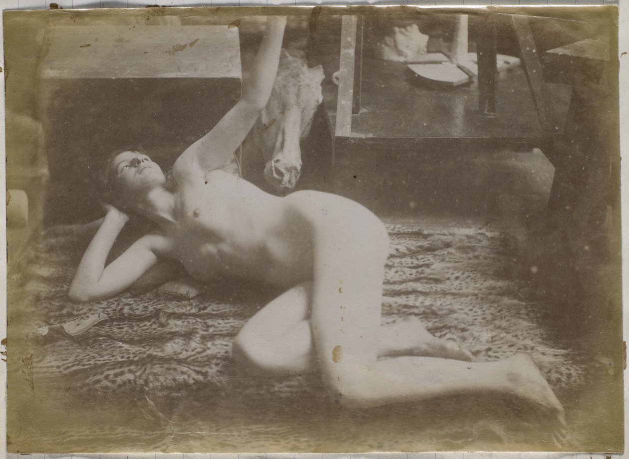 Study of a Female Nude Model, Lying on a Tiger Skin, in the Studio of Jacques de Lalaing by Jacques Lalaing (attributed to)