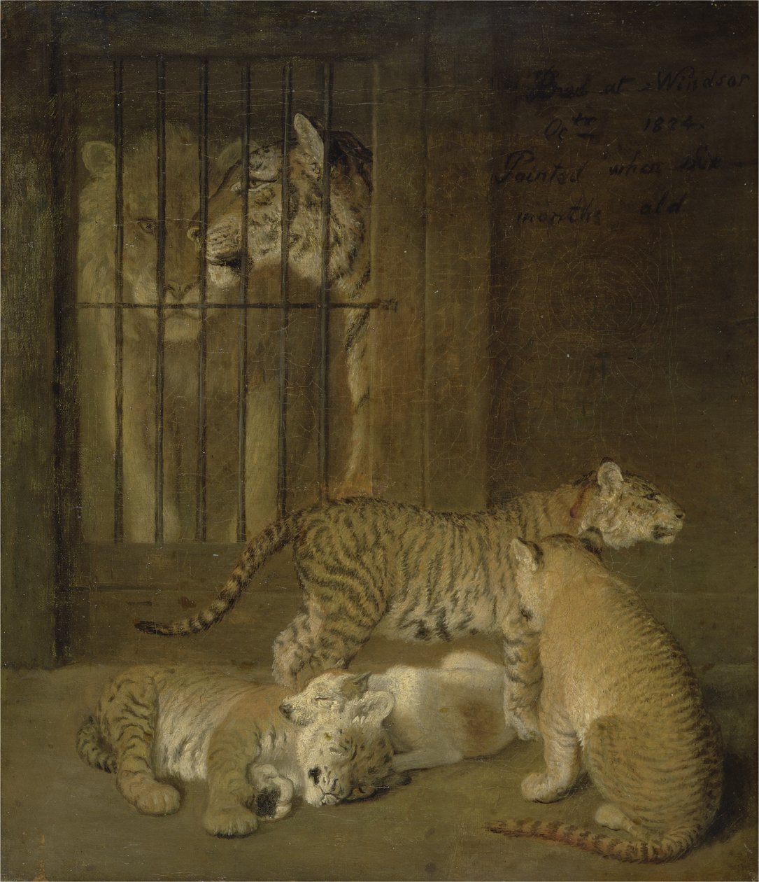 Group of whelps bred between a lion and a tigress by Jacques Laurent Agasse
