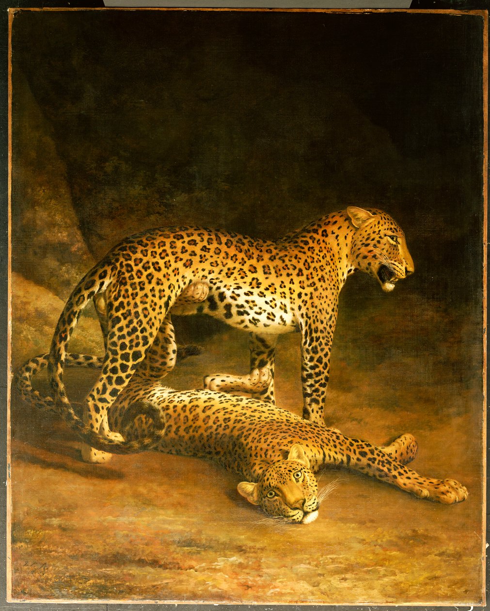 Two Leopards Lying in the Exeter Exchange by Jacques Laurent Agasse
