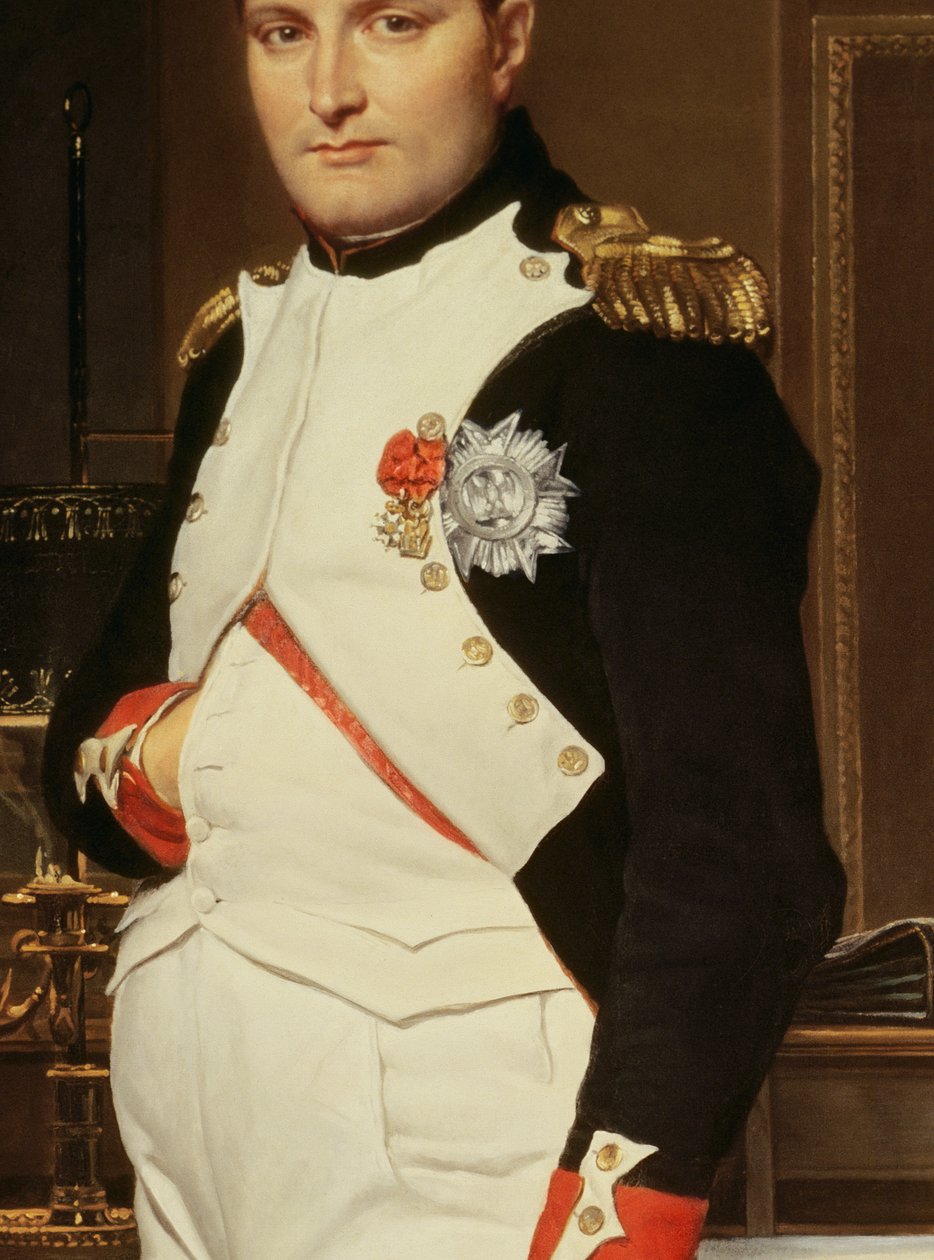 The Emperor Napoleon in His Study at the Tuileries (detail) by Jacques Louis David