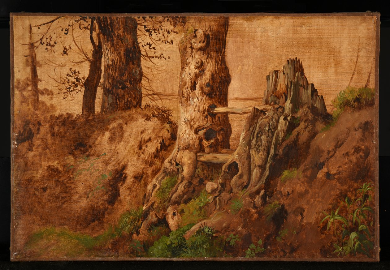 Trees and Rocks by Jacques Raymond Brascassat