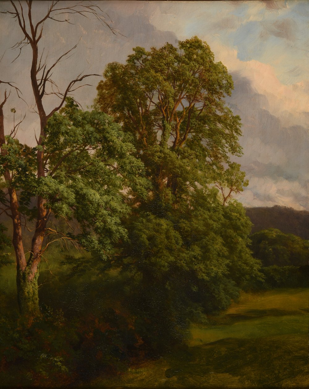 The Oaks by Jacques Raymond Brascassat