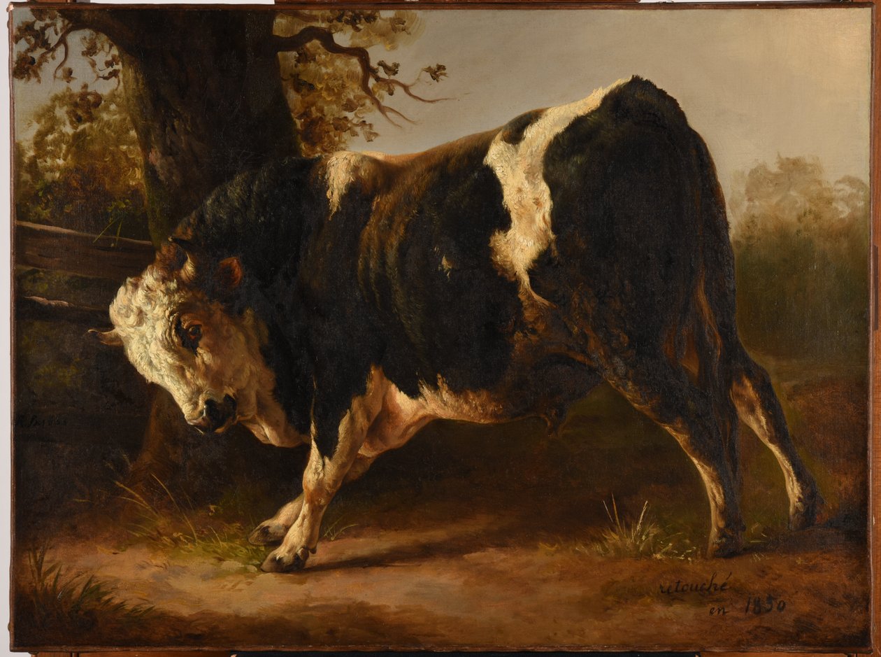 Enraged Bull by Jacques Raymond Brascassat