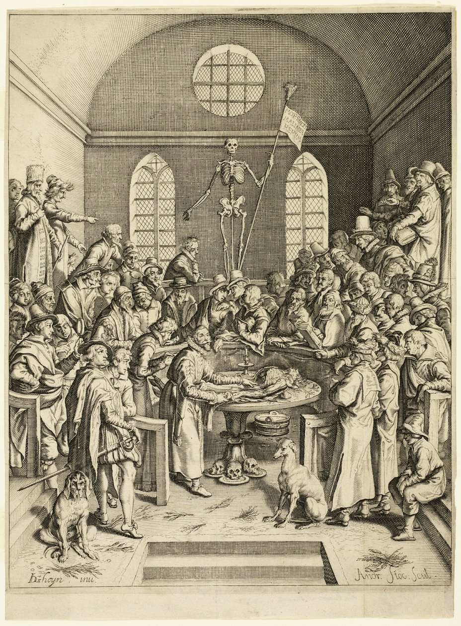 The Anatomical Lesson of Professor Pauw by Jacques de Gheyn II