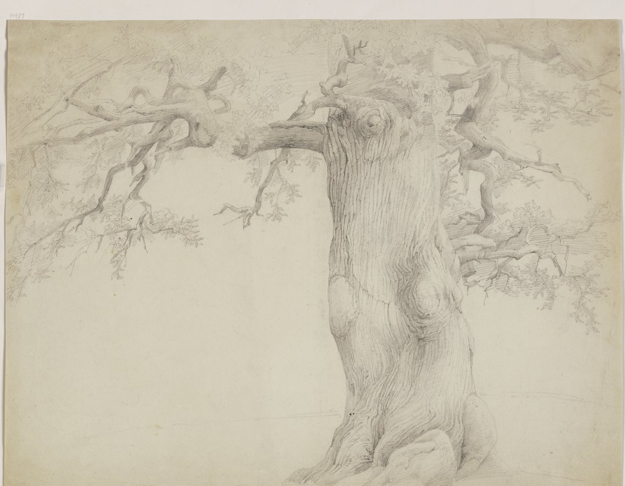 Old Tree by Jakob Becker