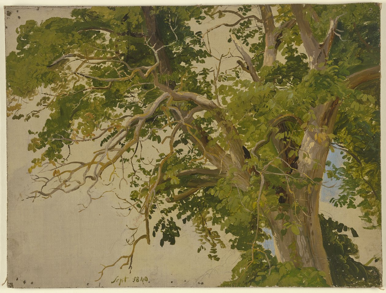 Treetop by Jakob Becker