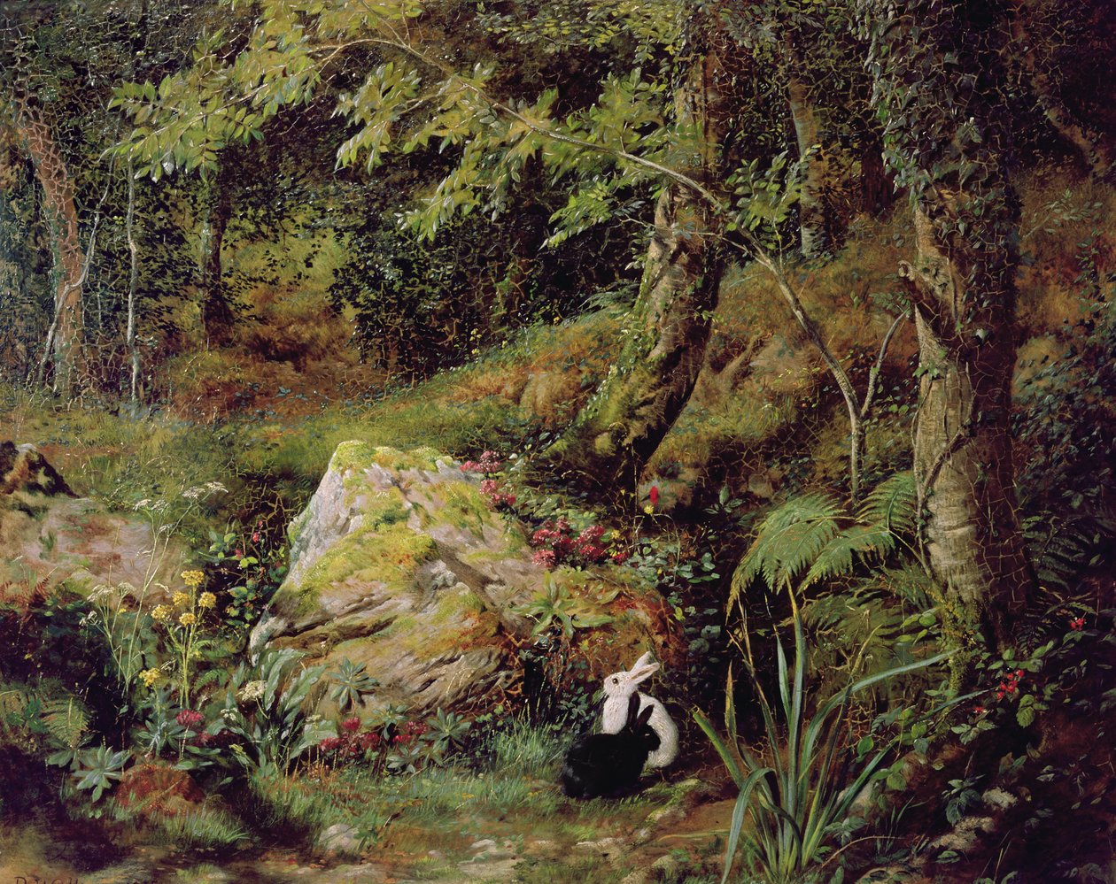 Stray Rabbits by James Collinson