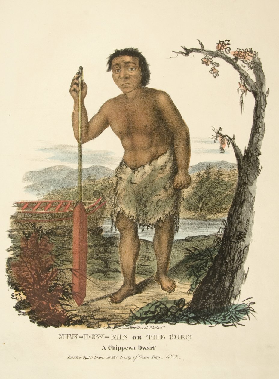 Men-dow-min or The Corn by James Otto Lewis