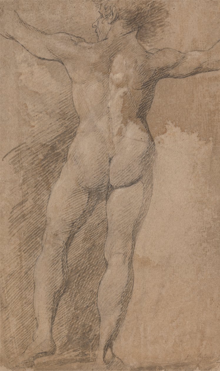 Male with Arms Spread Wide Seen from Behind by James Barry