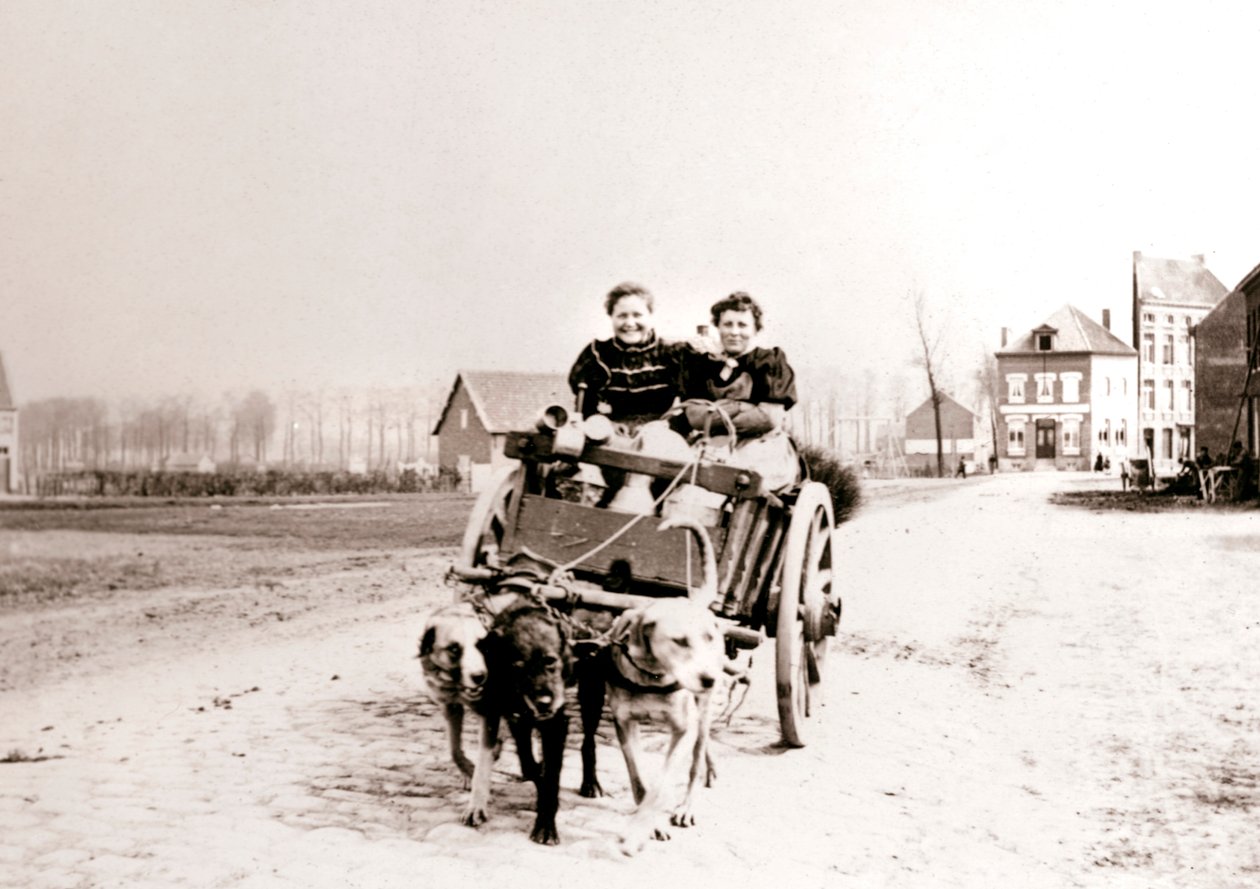 Dogs Pulling Women on a Cart, Antwerp, 1898 by James Batkin