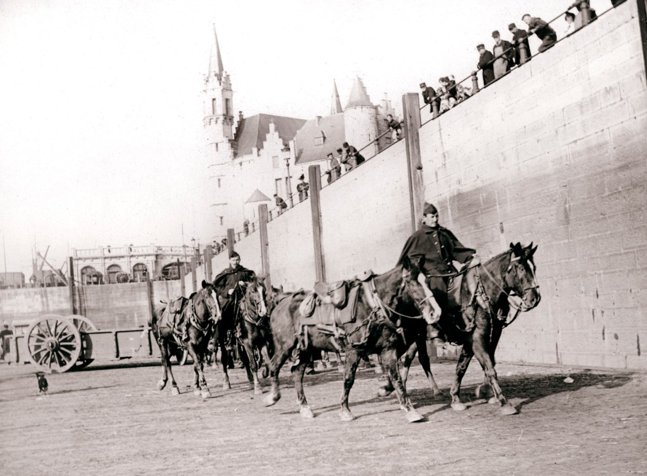 Horseriders, Antwerp by James Batkin