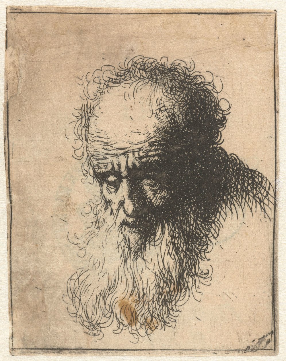 Bust of an Old Man with a Flowing Beard: The Head Bowed Forward: Left Shoulder Unshaded by James Bretherton