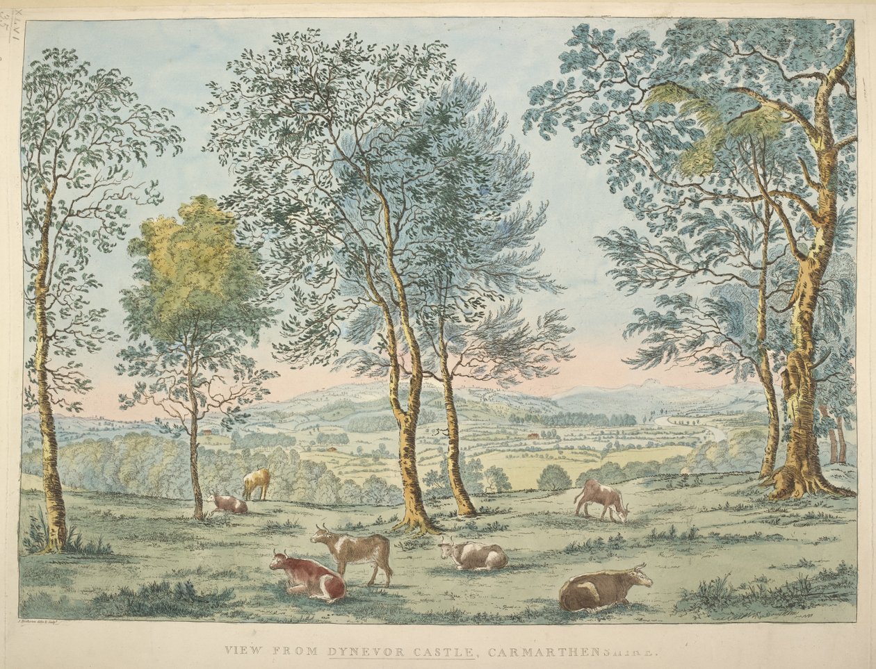 View from Dynevor Castle, Carmarthen by James Bretherton