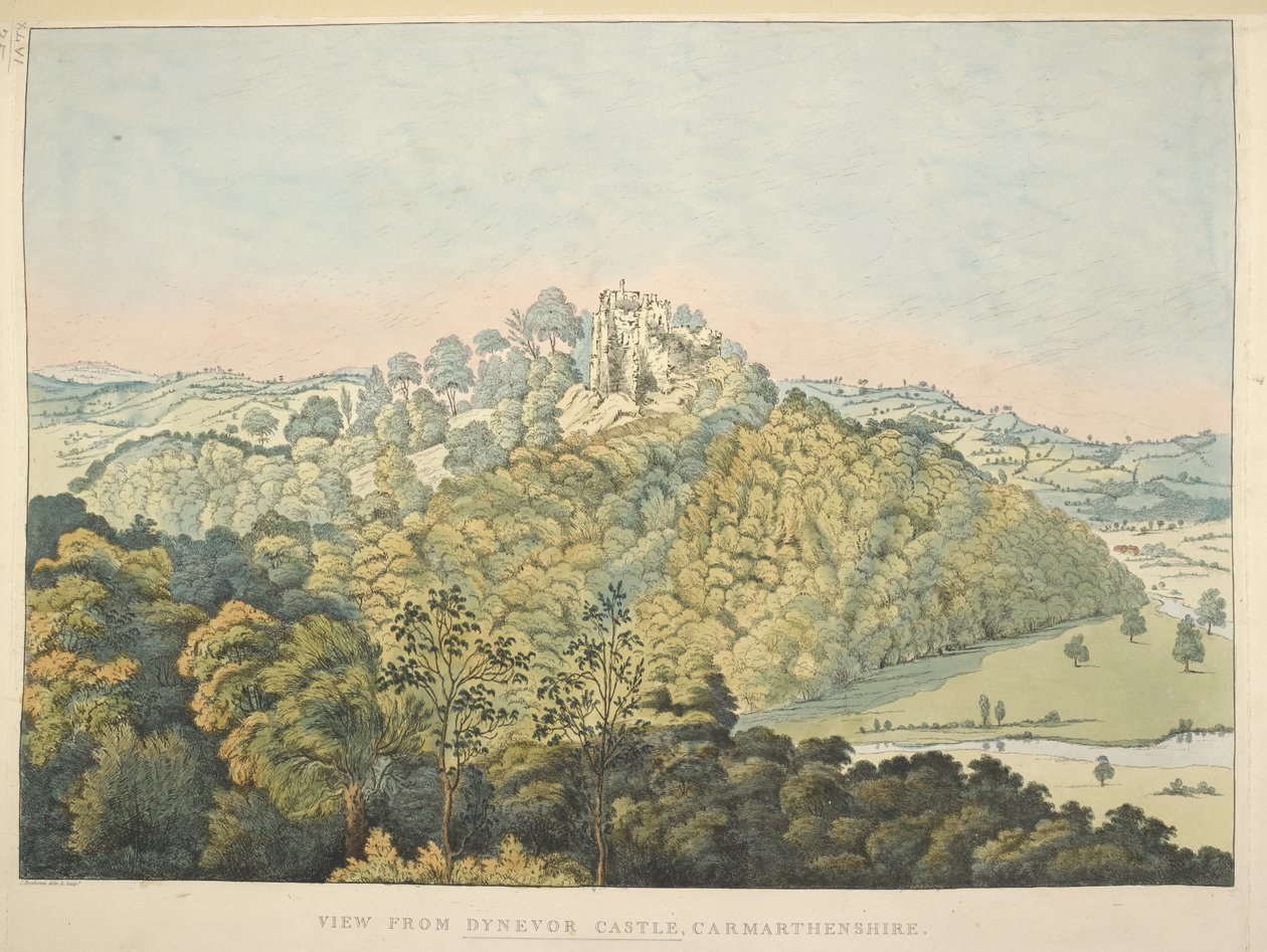 View from Dynevor Castle, overlooking the River Towy and Golden Grove by James Bretherton