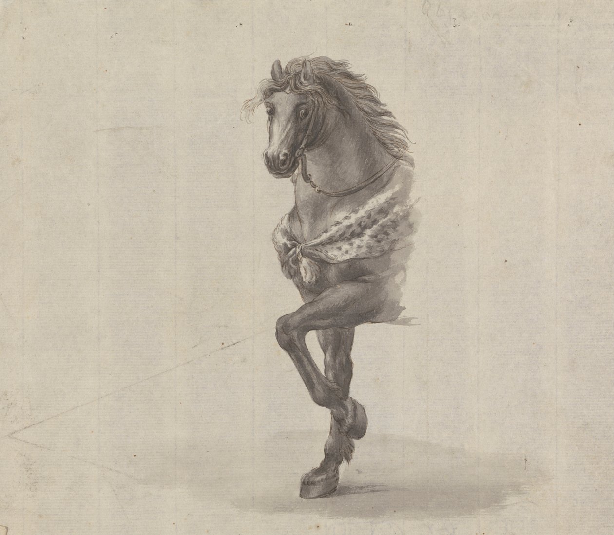 Study of the Front of a Horse by James Bruce