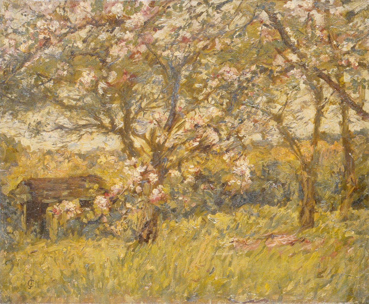 Apple Blossom by James Charles