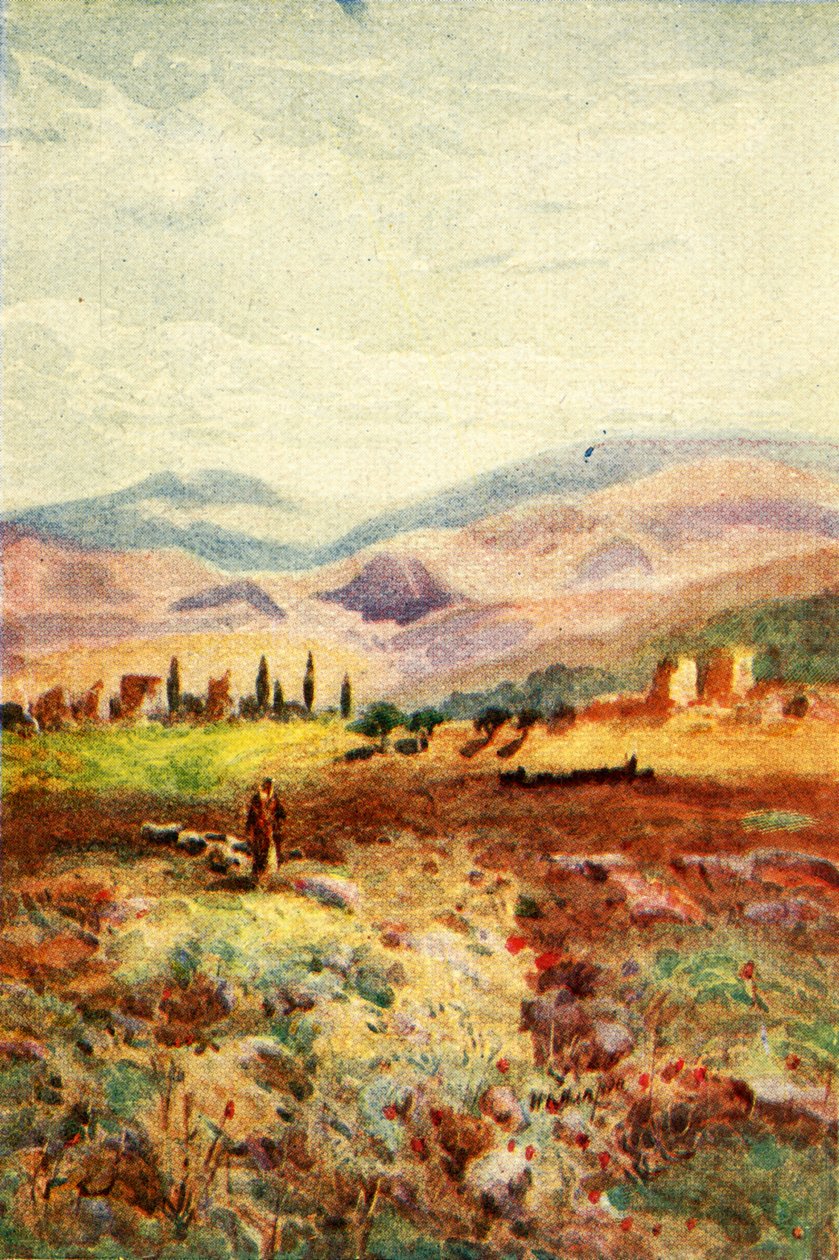 Ruins of Sardis - Revelations iii. 1. by James Clark and Henry A Harper