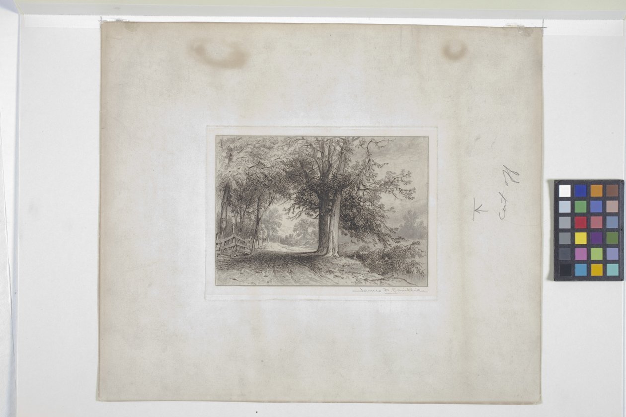 Landscape by James David Smillie