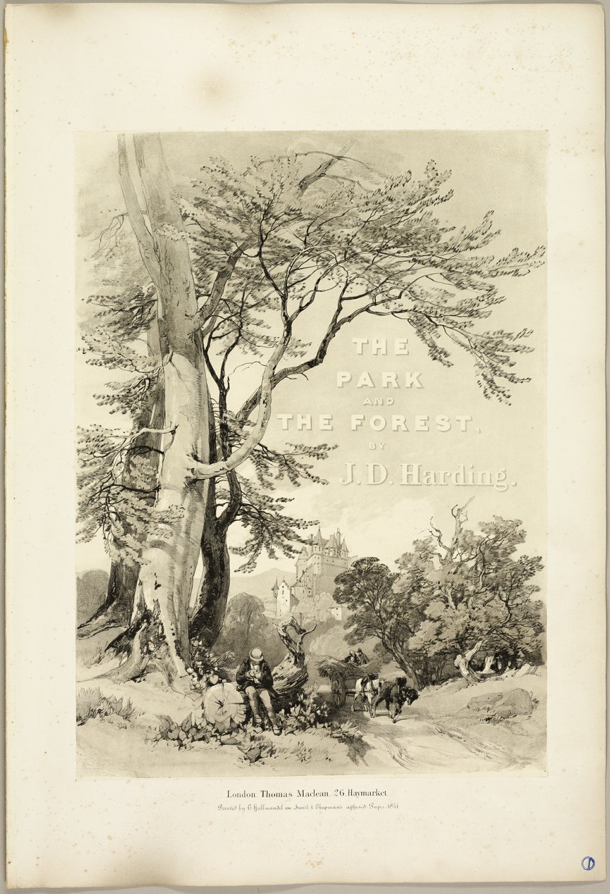 Beech and Oak (Frontispiece), from The Park and the Forest by James Duffield Harding