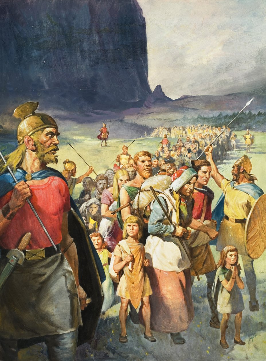 A Race of Warriors by James Edwin McConnell