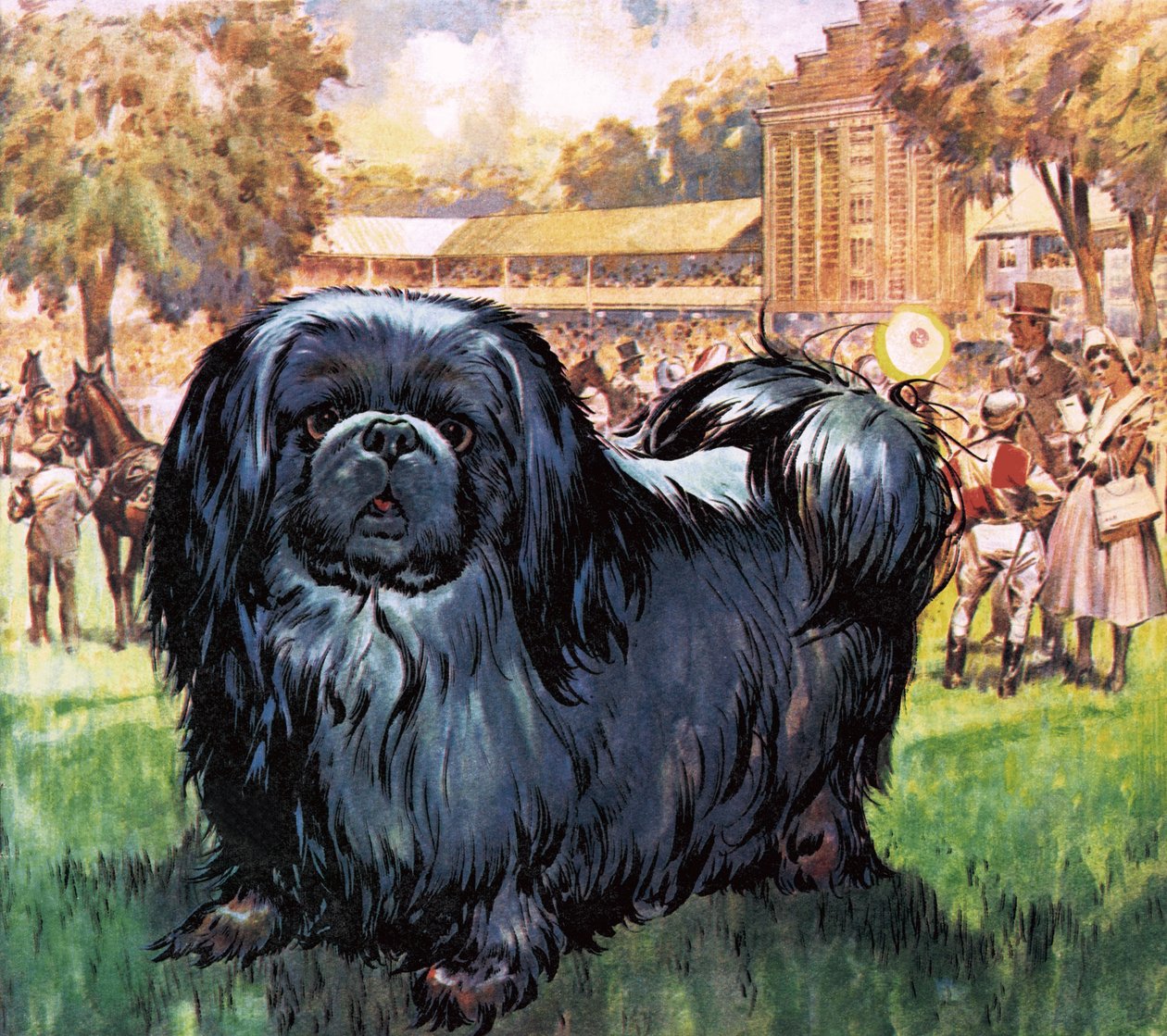 Black Knight. The Pekinese Dog Owned by Artist Sir Alfred Munnings. by James Edwin McConnell