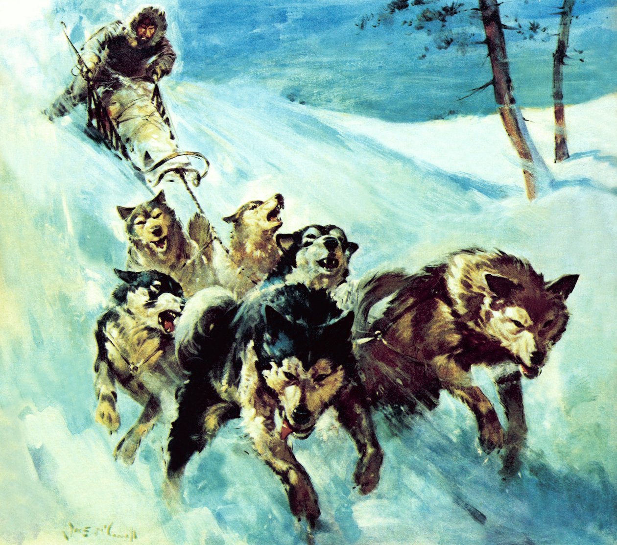 The Canadian Husky by James Edwin McConnell