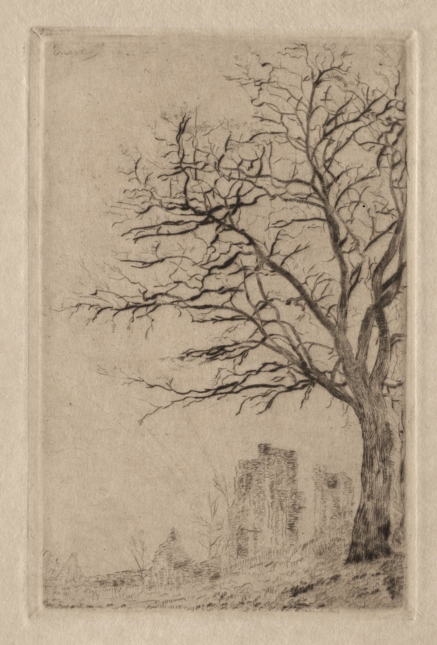 Acacia by James Ensor