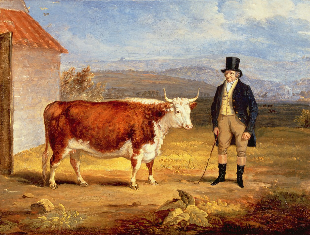 Mr James Hodges and his Two Year-Old Hereford Heifer, c.1843 by James Flewitt Mullock