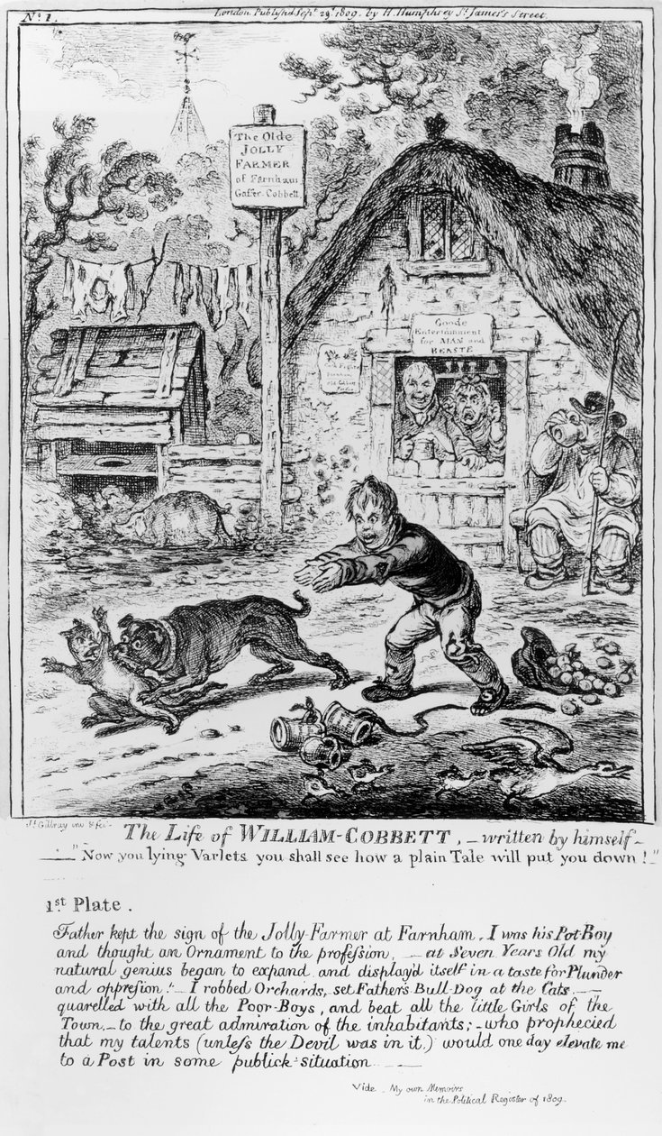 Plate 1, from 